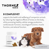 ThorneVET B ComplexVET – Vitamin B Complex Support for Dogs, Cats & Horses, 60 Soft Chews