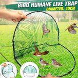 Pigeon Bird Trap,Large Spring Domestic Humane Live Bird Traps Net for Birds Pigeons Sparrow Quail Hunting Cage Traps Tools Humane Live Trap Mesh (D)