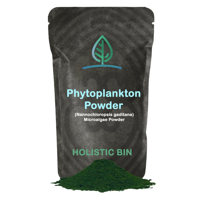 Holistic Bin Marine Phytoplankton Powder Naturally Grown in Nordic Seawater | Vegan Omega 3 Supplement | Rich in Amino Acids, Chlorophyll, Vitamins, & Trace Minerals (50g)