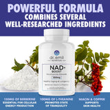 DR. EMIL NUTRITION NAD+ Boost - Nicotinamide Riboside Supplement for Longevity, Healthy Aging & Cellular Regeneration - NAD Supplement with with Berberine, L-Theanine & Niacin - 30-Day Supply