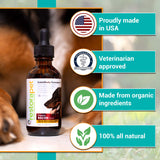 RestoraPet 1-Pack Dog & Cat Bacon Liquid Multivitamin | Dog Arthritis Pain Relief | Hip & Joint Vitamins for Dogs - Anti Inflammatory Supplement for Dogs & Cats | Organic & Non-GMO, Vet Approved