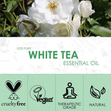 White Tea Essential Oil 4 Fl Oz (120ml) - Pure and Natural Aromatherapy Fragrance Oil, Camellia Sinensis Oil for Diffusers, Candle Making, Massage, Soap, Perfume