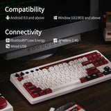 AKNES 8Bitdo Retro Mechanical Keyboard, Hot Swappable Gaming TKL Keyboard with 87 Keys, Dual Super Programmable Buttons, Bluetooth / 2.4G / USB-C Keyboard for Windows and Android - Fami Edition