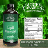 Buried Treasure Liquid Chlorophyll 100 mg Dietary Supplement, Energy Boost Immune Support Detox Intestinal Digestive Support Natural Body Deodorant Vegan Non-GMO Alcohol Free Spearmint Flavor,16 oz