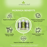 A Healthy Leaf Organic Moringa Capsules - Vibrant Green | Moringa Capsules Organic | 100% Pure Moringa Leaf Capsules | Energy & Immune System Support