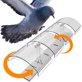 Petslandia Bird Deterrent System - Polycarbonate UV Resistant Pigeon Deterrent, Cruelty-Free Pigeon Proof, Long Lasting, Suitable for Balconies, Patios and Outdoors (78 in)