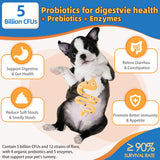 Dog Multivitamin Powder with Glucosamine, Dog Vitamins and Supplements for Immune Support, Dog Skin and Coat Supplement with Omega 3 for Allergy Relief, Probiotics for Dog Support Digestive Health