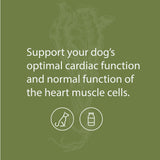 Standard Process - Canine Cardiac Support - Heart Supplement for Dogs - 25 Grams