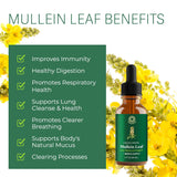 Mullein Leaf Extract: Mullein Extract for Lungs - Lung Cleanse - Mullein Tincture - Mullein Drops for Lungs - Respiratory Health Support - Healthy Breathing - Non-GMO - Vegetarian - 1 Month Supply