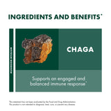 Host Defense Chaga Extract - Immune System Support Supplement - Chaga Mushroom for Antioxidant Activity Support - Liquid Dietary Mushroom Supplement - 2 fl oz (60 Servings)*