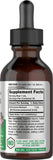 Horbaach Echinacea Drops Liquid Extract | 2 fl oz | Super Concentrated Tincture | Alcohol Free, Vegetarian, Non-GMO, and Gluten Free