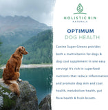 Canine Super Greens by Holistic Bin | Vegan Dog Nutritional Supplement with Marine Phytoplankton, Spirulina, Chlorella, & Fermented Barley Grass | Organic Skin and Coat Support (50 Grams)