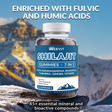 9000MG Shilajit Gummies, Sugar Free Himalayan Shilajit Supplement Shilajit Gummy for Men & Women with 85+ Trace Minerals & Fulvic Acid - Energy, Brain, Immunity Support