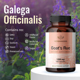 HERBAMAMA Goat's Rue Capsules - Galega Officinalis Nutritional Supplement - 1200 mg, 100 Capsules - Promotes Milk Flow, Lactation & Mammary Tissue Development - Non-GMO Support for Breastfeeding