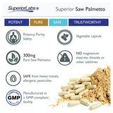 Superior Labs — Saw Palmetto Extract NonGMO, Non Synthetic— 300 mg Dosage, 120 Vegetable Capsules — Supports Urinary Tract Flow & Frequency