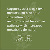 Standard Process - Canine Hepatic Support - Liver Metabolism Support for Dogs - 110 Grams