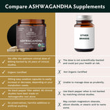 TRIBE ORGANICS Vegan Ashwagandha KSM 66 Pure Organic Root Powder Extract Ayurvedic Supplement - Focus Mood Support Increase Energy Strength 600mg of Natural KSM66 for Superior Absorption - 90 Capsules