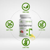 DEAL SUPPLEMENT Berberine Supplement, 1,000mg Per Serving, 300 Veggie Capsules – 97% Pure Berberine HCL – 5:1 Root Extract – Vegetarian Friendly, Non-GMO