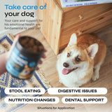 Probiotics for Dogs - Probiotic Chews for Dogs - Coprophagia Deterrent for Dogs - Dog Probiotics for Digestive, Gut, Dental Health - No Poo Chews for Dogs with Enzymes & Pumpkin Powder Supplements