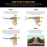 Cinch Mole Trap + Tunnel Marking Flags (Medium) - Precision-Engineered Mole Traps That Kill Best for Effective Mole Elimination in Lawns