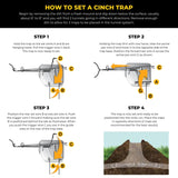 Cinch Traps Mole Trap Kit: Two Traps With Mole Tunnel Flags And Instructions - By - Made In America