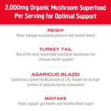 OM Mushroom Superfood Immune Blend Mushroom Powder Superfood Supplement, 7.05 Ounce Pouch, 100 Servings, Mushroom Blend, Reishi & Turkey Tail; Daily Immune Support Supplement
