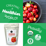 f&b superfoods Pure Organic Acerola Cherry Powder freeze dried (8oz), Organic Vitamin C for Immune System Booster, Smoothie, Drinks and juice detox, Vegan, Brazil Origin.