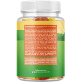 Plant Based Kids Multivitamin Gummies - Multivitamin for Kids Immunity Support Gummies with Vitamins A C D3 E B and Zinc Gelatin and Gluten Free Non-GMO Kids Vitamins Gummy Multivitamin Formula 120ct