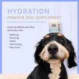 Dog Hydration and Recovery Powder by Good Trouble Pets - Premium Electrolytes for Dogs with Vitamins, Supports Muscle Recovery and Rebound for Dogs, Puppy Vitamins and Supplements (3.7 oz, Beef)