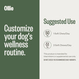 Ollie Belly Rubs Dog Probiotic Chews - Probiotics for Dogs - Dog Upset Stomach Relief - Probiotics for Dogs Digestive Health - Natural Dog Probiotics - Digestive Probiotics for Dogs - 60 Count Appx.