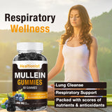Healtionist 2 Pack Sugar Free Mullein Gummies - Lung Cleanse, 3000MG Mullein Supplement for Respiratory, Organic Mullein Drops with Quercetin & Bromelain for Lung, Digestive Health & Immune 120ct