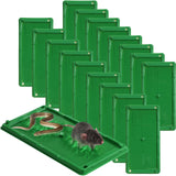 Kittmip 18 Pcs Glue Mouse Traps Mouse and Insect Glue Traps Plastic Mouse Sticky Traps for Mice Rats Snake Lizard Insect Spider for Indoor Home Warehouse Courtyard Kitchen (Green)