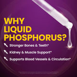 WellnessOne Liquid Phosphorus Supplements - Ionic Phosphorus Supplement from Ortho Phosphoric Acid for Healthy Bones & Teeth, Protein & Energy Production - Non-GMO, Vegan, Gluten Free - 1.67 fl oz