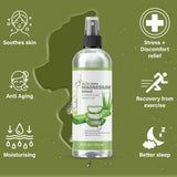 Topical Magnesium Spray with Aloe Vera for Stress Relief & Anxiety - USP Grade Pure Magnesium Oil Spray - Aloe Vera Magnesium Spray for Sleep - 12 Fl Oz