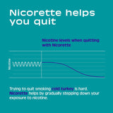 Nicorette 4 mg Mini Nicotine Lozenges to Quit Smoking - Mint Flavored Stop Smoking Aid, 81 Count