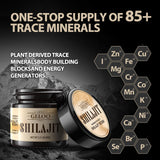 Shilajit Pure Himalayan Organic Shilajit Resin 60 Grams - Natural Shilajit Resin - Gold Grade 100% Shilajit Supplement with 85+ Trace Minerals & Fulvic Acid for Focus & Energy, Immunity