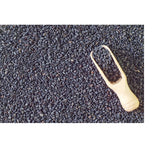 Pure Black Seed Oil - 16 OZ - 100% Pure and Cold Pressed Black Seed - Non-GMO and Vegan - Nigella Sativa
