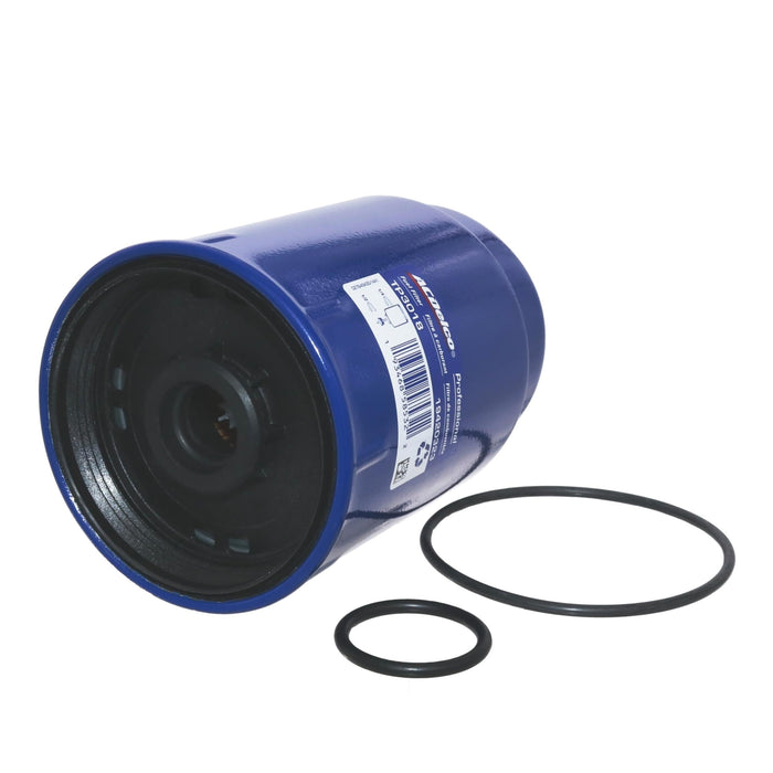 GM Genuine Parts TP3018 (19431541) Fuel Filter Kit
