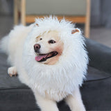 Onmygogo Lion Mane Wig for Dogs with Ears, Funny Pet Costumes for Halloween Christmas (Size L, White)