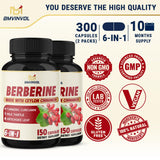 (10 Month Supply) 2 Packs Berberine Supplement 6-in-1-300 Caps - Plus Ceylon Cinnamon, Milk Thistle, Turmeric, Artichoke - Berberine HCl