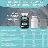 2 Packs 1000 MG Shilajit Supplement Gummies with 85+ Trace Minerals, Fulvic Acid Supplement, Shilajit for Men & Women, Organic, Natural, Pure-120 Count.