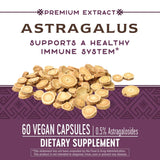 Nature's Way Premium Astragalus Root Extract, Immune Support*, 60 Capsules