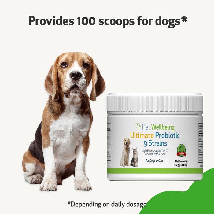 Pet Wellbeing - Ultimate Probiotic 9 Strains for Cats and Dogs - Natural Support for Digestion and Urinary Tract Health 160 Grams.