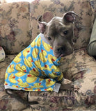 Tooth and Honey Pit Bull Pajamas/Rubber Duck Print/Lightweight Pullover Pajamas/Full Coverage Dog pjs/Yellow with Grey Trim