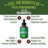 Chlorophyll Liquid Drops - Vegan, Non-GMO, Gluten Free Liquid Chlorophyll Drops for Water. Supplement for Energy, Skin Care, Immune + Digestive Support, Natural Deodorant. All Natural USA Sourced