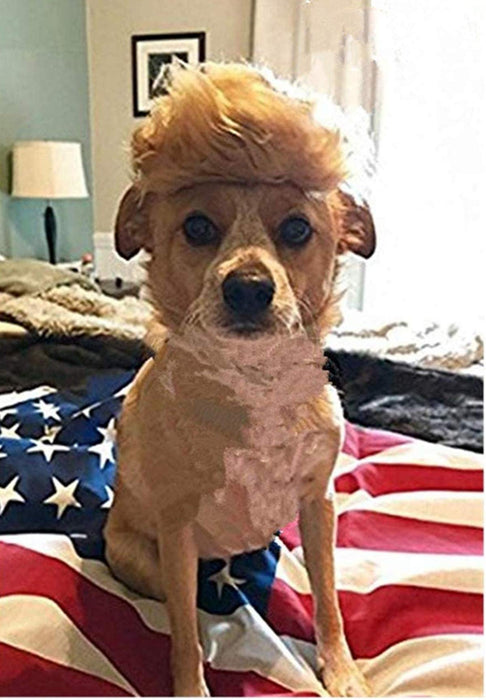 Donald Trump Style Pet Costume Dog Wig, Dog Clothes with Collar & Tie Head Wear Apparel Toy for Halloween, Christmas, Parties, Festivals (Brown without Tie)