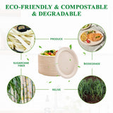 Vplus 100% Compostable Oval Paper Plates 12 inch 120 Pack Super Strong Disposable Dinner Plates Natural Biodegradable Eco-Friendly Sugarcane Plates for BBQ, Party, Gathering, and Picnic