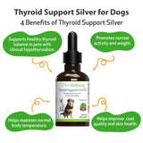 Pet Wellbeing Thyroid Support Silver for Dogs - Vet-Formulated - Supports Underactive Thyroid in Canines - Natural Herbal Supplement 2 oz (59 ml)
