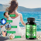 Fleamart Irish Sea Moss Capsules 120ct Raw Organic Sea Moss Wildcrafted Bladderwrack Burdock Root Capsules Super Food Immune System Digestive Health Sea Moss Pills