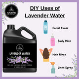 Lavender Hydrosol Floral Water 32 Ounces by Naturevibe Botanicals | 100% Pure & Natural Lavender Hydrosol | Facial Toner Great for Hydration | Mist for Hair Face and Skin | DIY Body Care (946 ml)